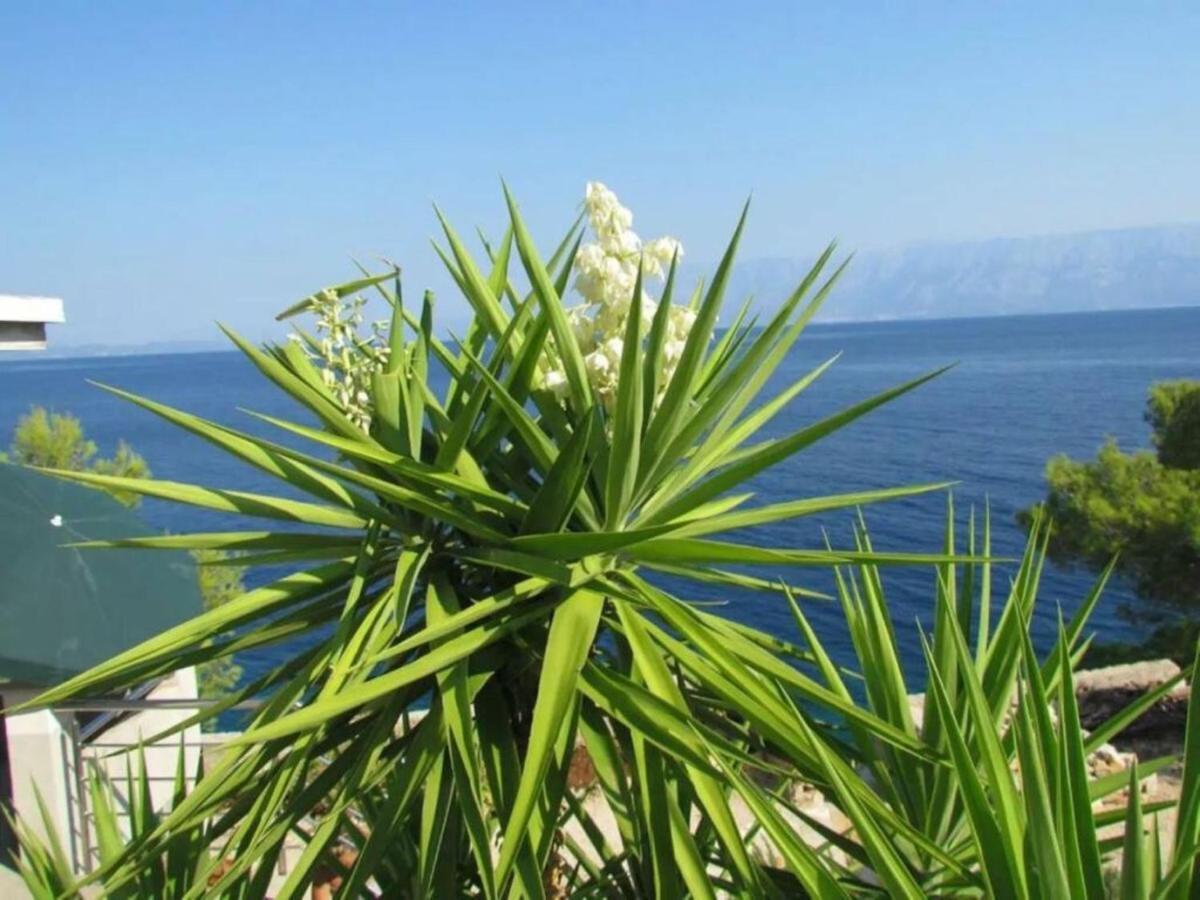 Holiday House Jakov Gdinj Zewnętrze zdjęcie